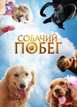 Собачий побег